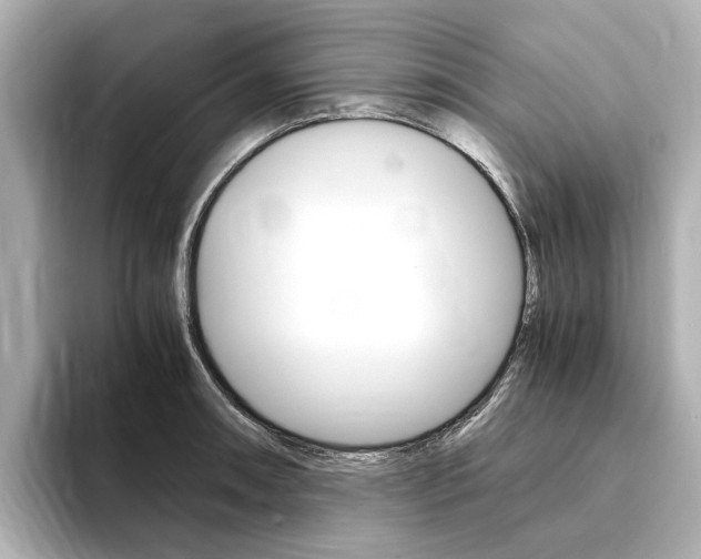 X0000094371090200711020748