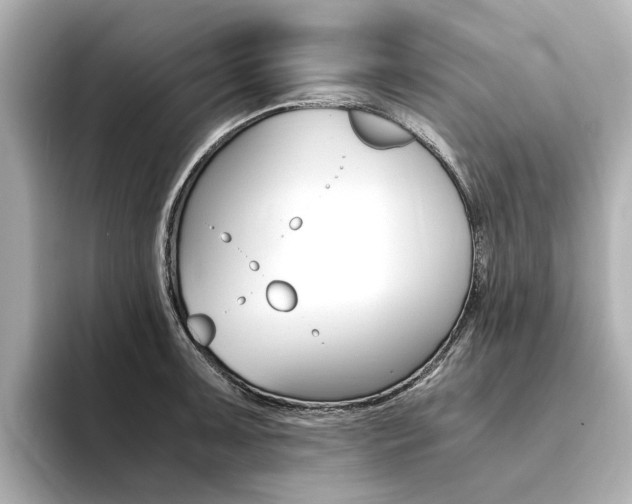 X0000094371091200711020748