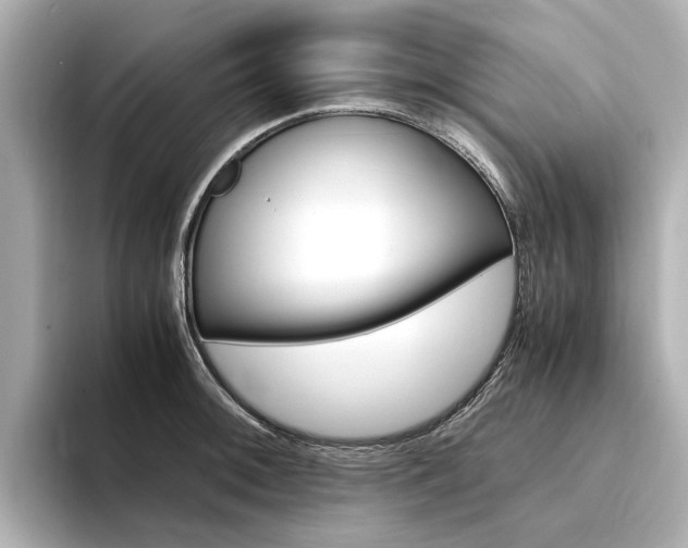X0000094371092200711020748