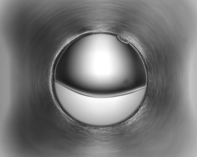 X0000094371093200711020748