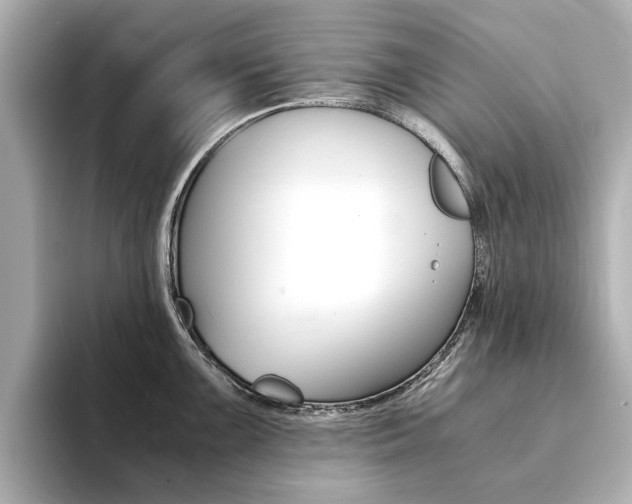 X0000094371099200711020748