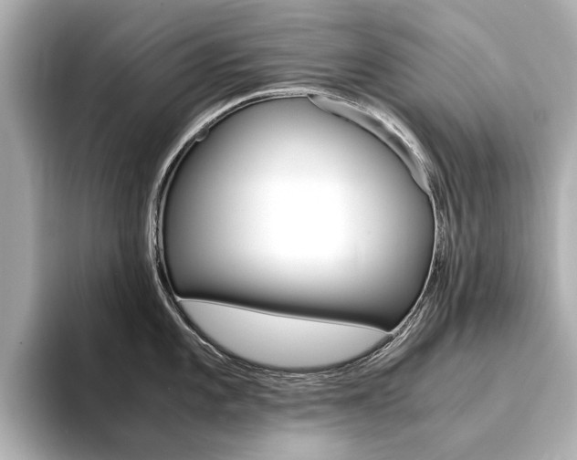 X0000094371101200711020748