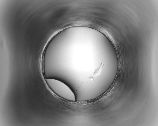 X0000094371103200711020748