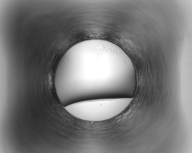X0000094371106200711020747