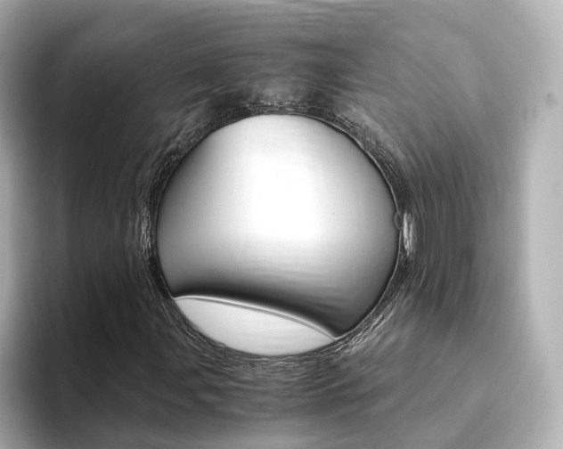 X0000094371107200711020747