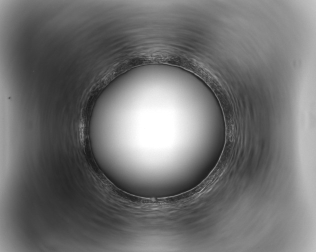 X0000094371108200711020747