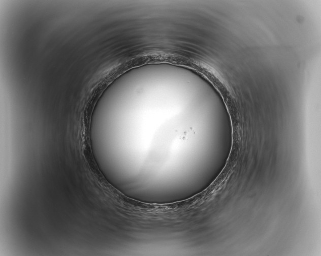 X0000094371111200711020748