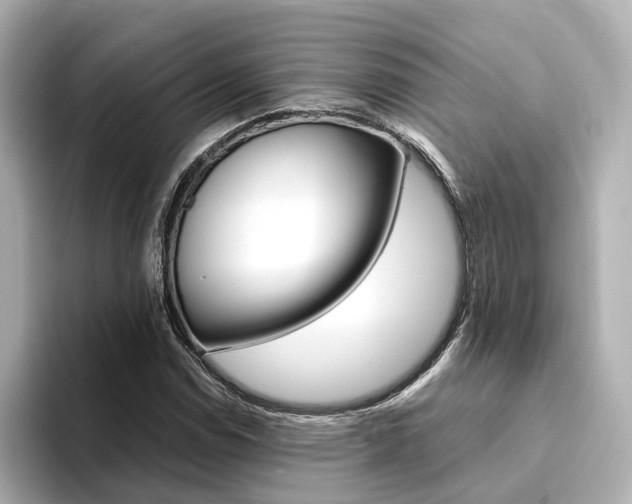 X0000094371114200711020748