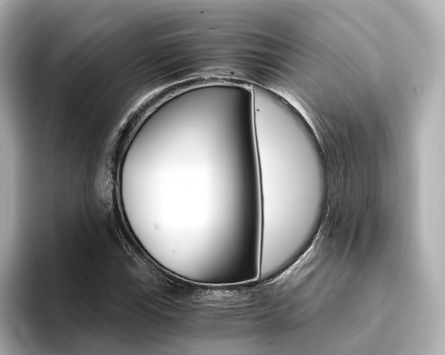 X0000094371115200711020748