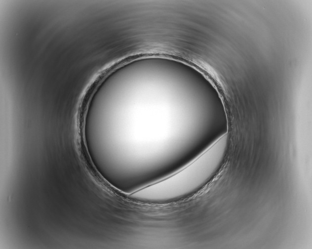 X0000094371120200711020748
