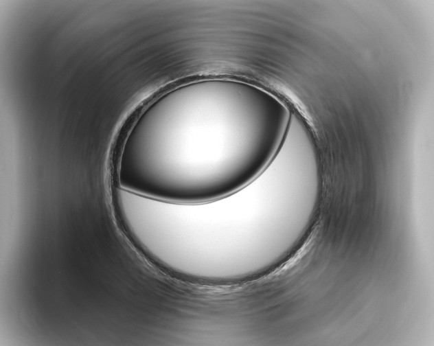 X0000094371122200711020748