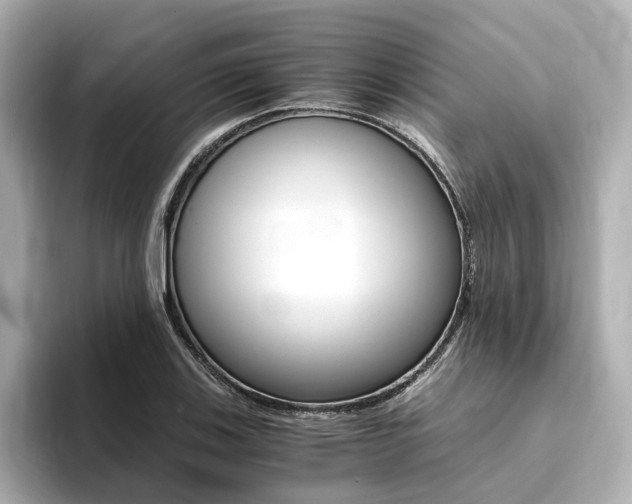 X0000094371123200711020748