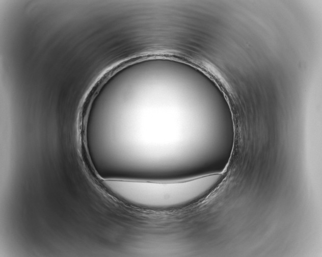 X0000094371124200711020748