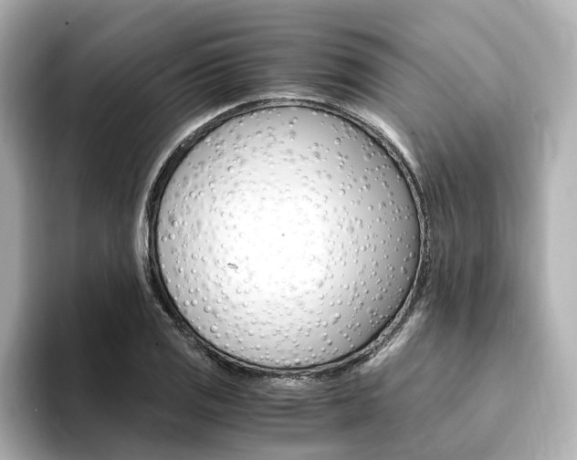 X0000094371125200711020748