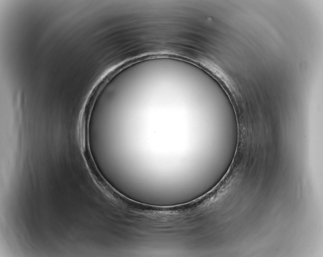 X0000094371127200711020748