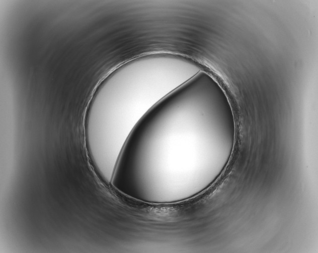 X0000094371129200711020748