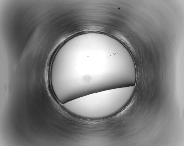 X0000094371130200711020748