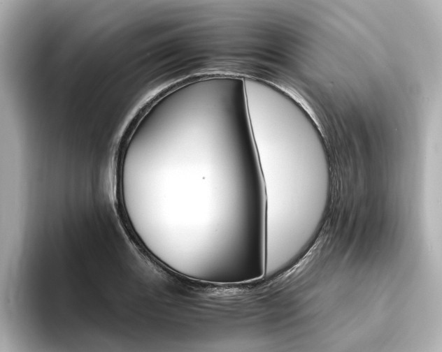 X0000094371131200711020748
