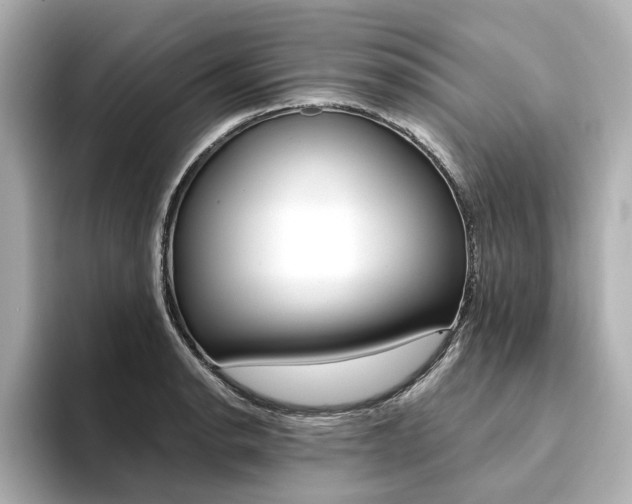 X0000094371134200711020748