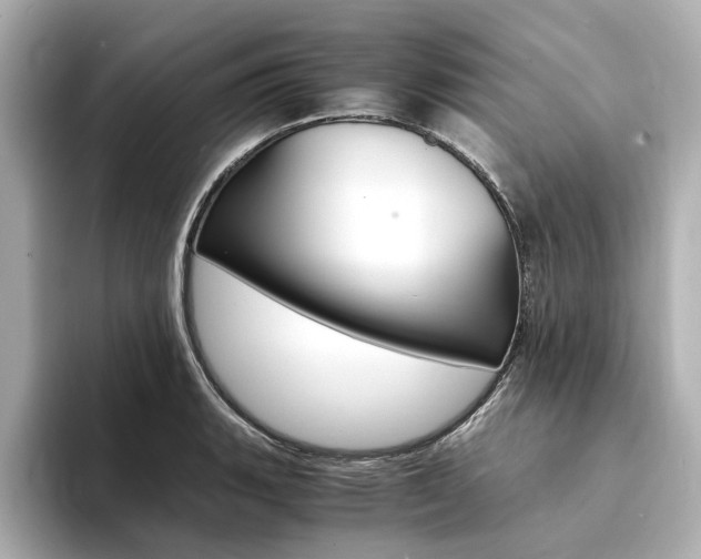 X0000094371135200711020748