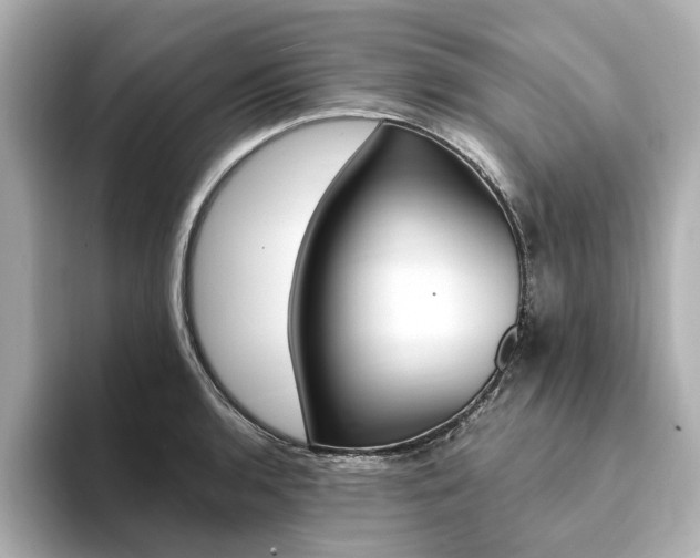X0000094371136200711020748