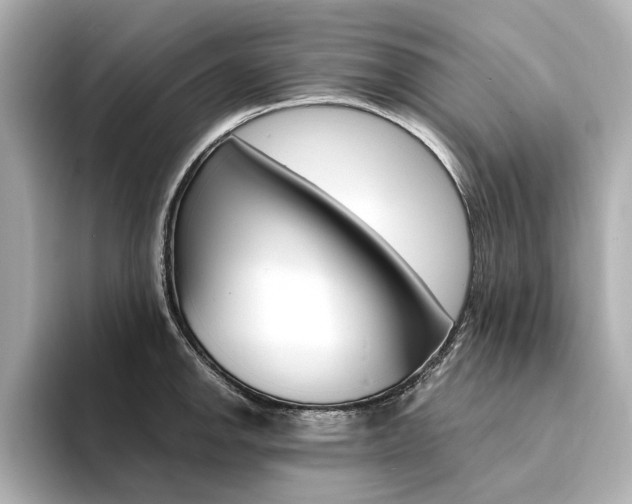 X0000094371142200711020748