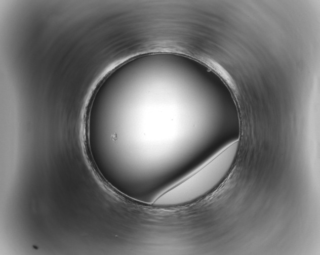 X0000094371144200711020748