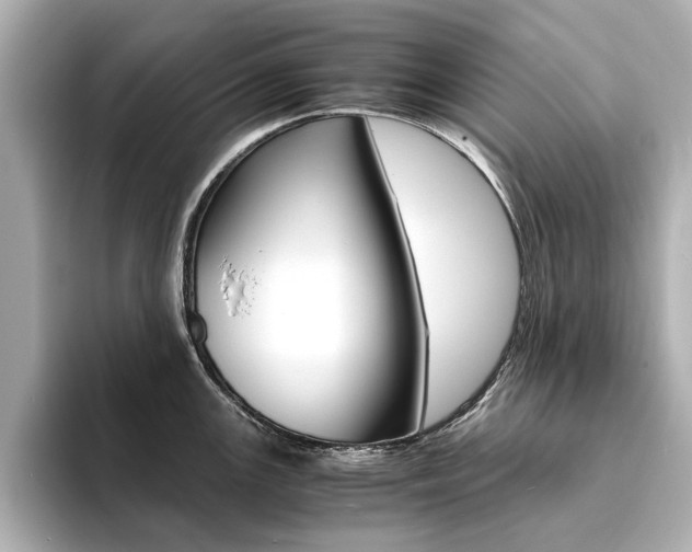 X0000094371147200711020748