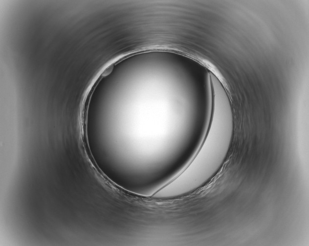 X0000094371148200711020748