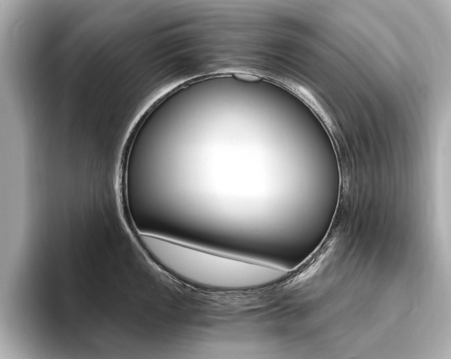X0000094371149200711020748