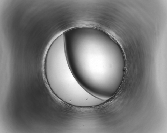 X0000094371152200711020748