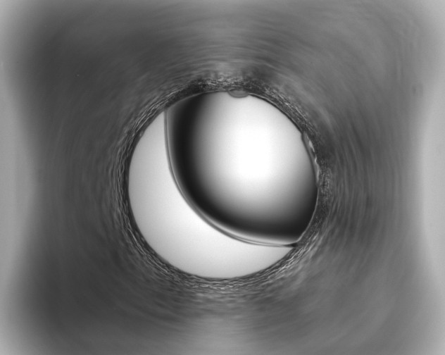 X0000094371153200711020747