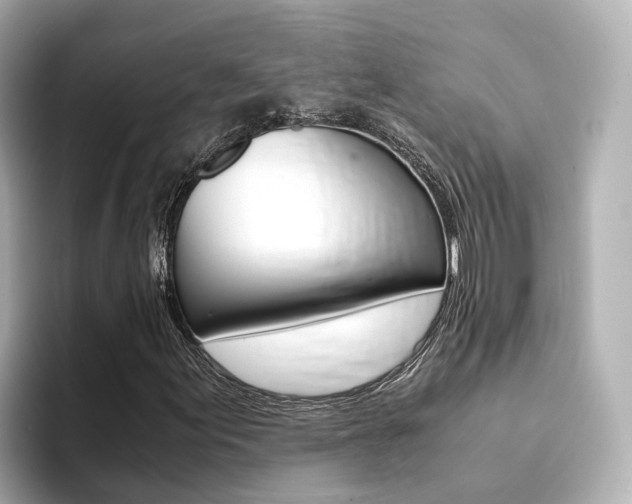 X0000094371155200711020747