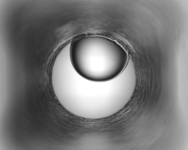 X0000094371160200711020747