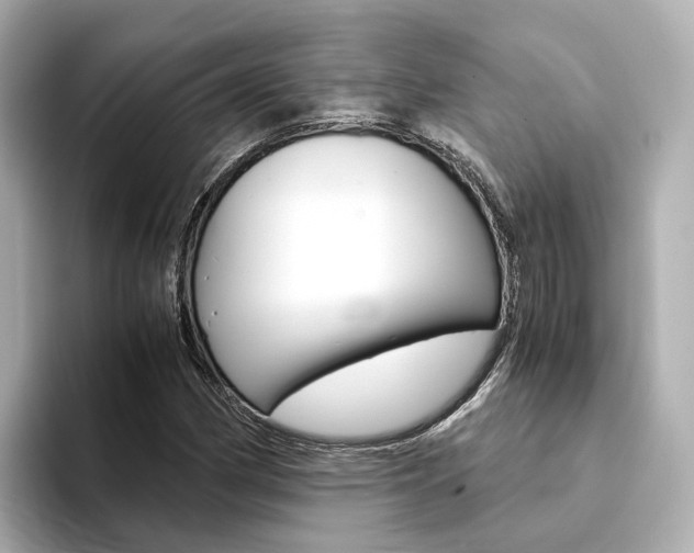 X0000094371162200711020747