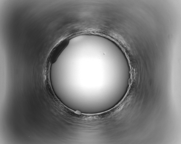 X0000094371165200711020747