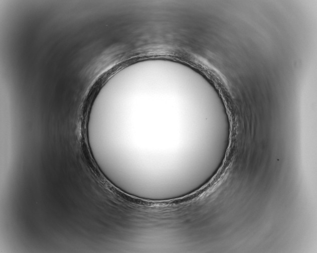 X0000094371166200711020747