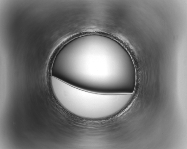 X0000094371167200711020747