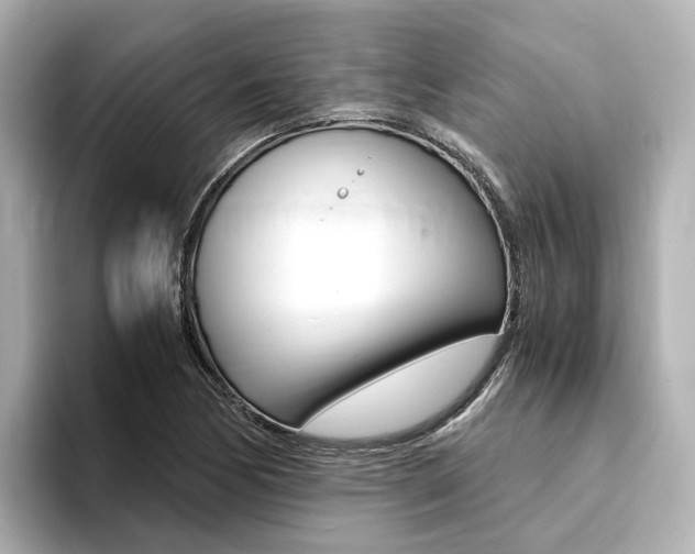X0000094371170200711020747