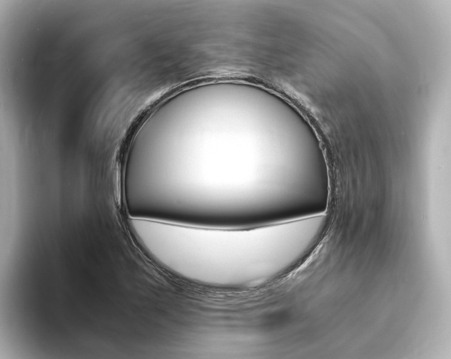 X0000094371171200711020747