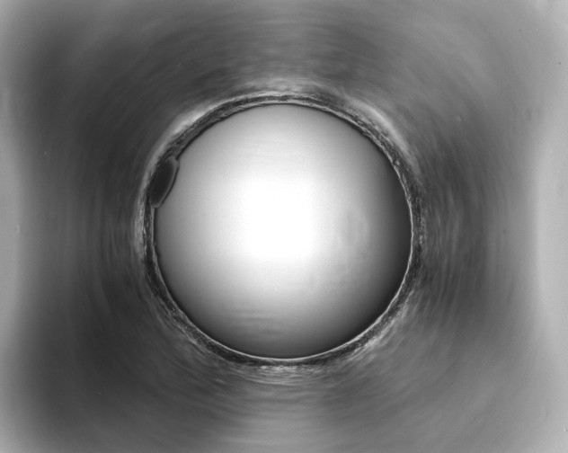 X0000094371172200711020747