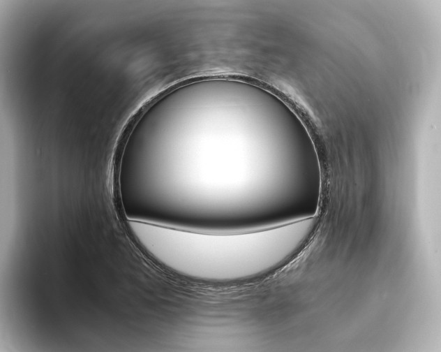 X0000094371173200711020747
