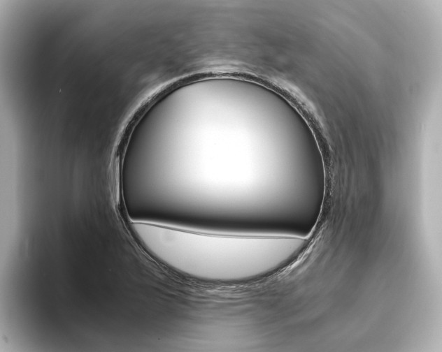 X0000094371175200711020747