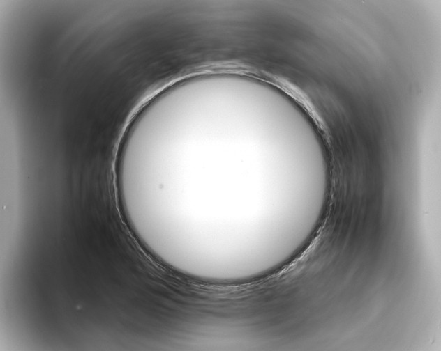X0000094371176200711020747