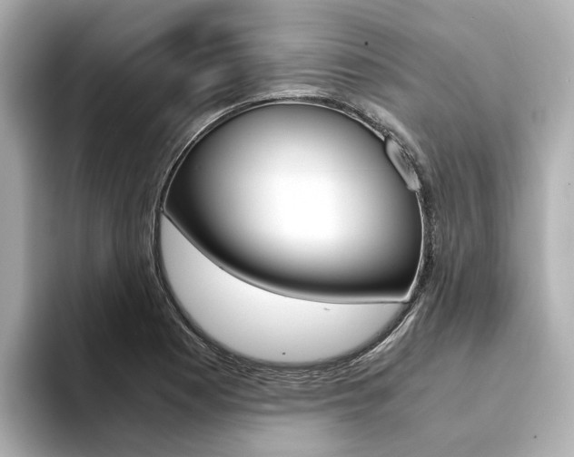 X0000094371177200711020747