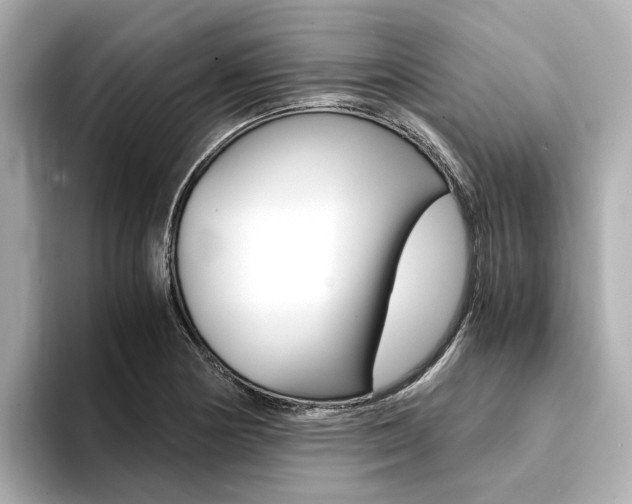 X0000094371178200711020747