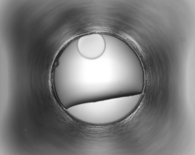 X0000094371182200711020747