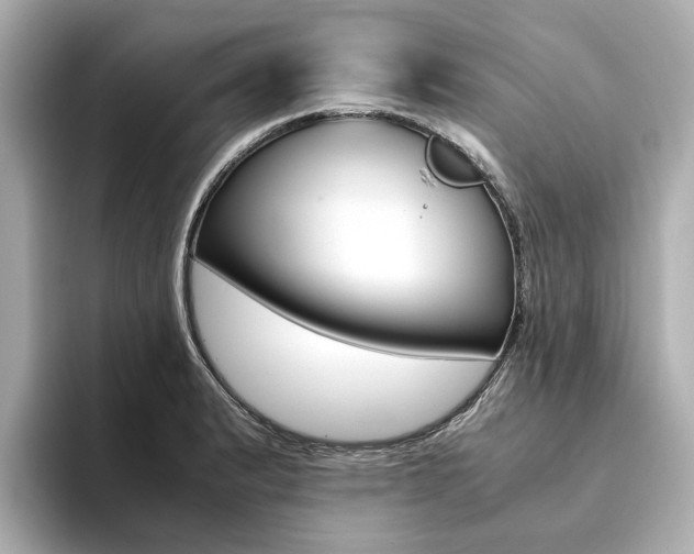 X0000094371183200711020747