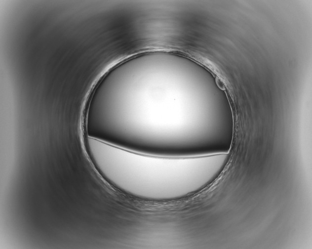 X0000094371187200711020747