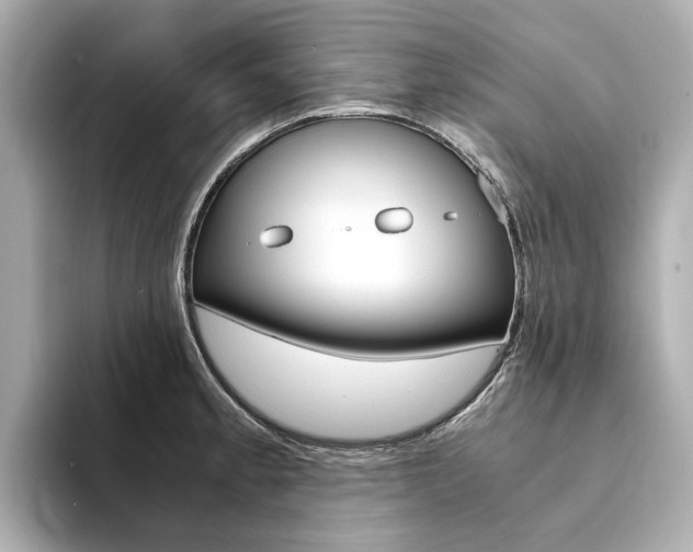 X0000094371189200711020747